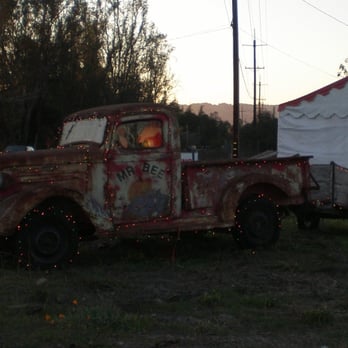 Nyberg's Christmas Trees - The Mr. Bee Truck - Christmas Trees Near Me - Sonoma, California Nyberg's Christmas Trees - The Mr. Bee Truck - Christmas Trees Near Me - Sonoma, California