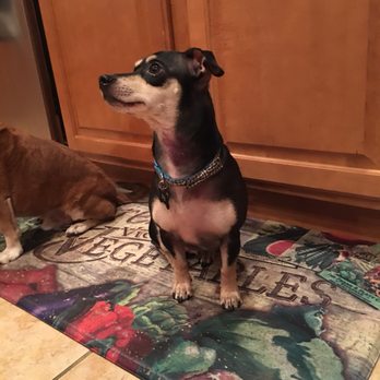 Petco - Pet Training Near Me - Albuquerque, New Mexico Petco - Pet Training Near Me - Albuquerque, New Mexico