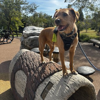 The Oakridge Estate - Our dog enjoying the playground - Landmarks & Historical Buildings Near Me - Los Angeles, California The Oakridge Estate - Our dog enjoying the playground - Landmarks & Historical Buildings Near Me - Los Angeles, California