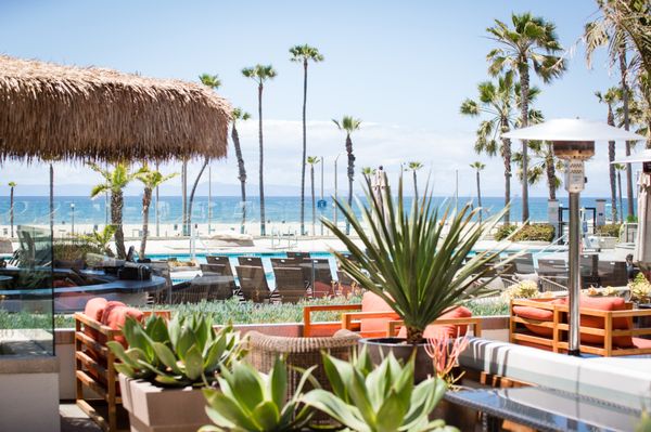 Cabo Wabo Beach Club by null