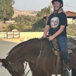 Canyon Lake Farm - Lesson adventurers