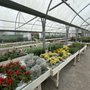 Photo of Fordham Nursery