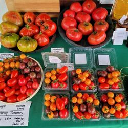 Telderer's Rainbows End Farm
