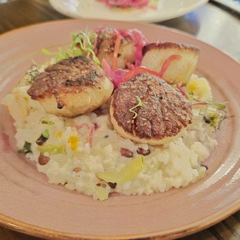 Seaboy - Scallops on Risotto - Seafood Near Me - Cornelius, North Carolina Seaboy - Scallops on Risotto - Seafood Near Me - Cornelius, North Carolina
