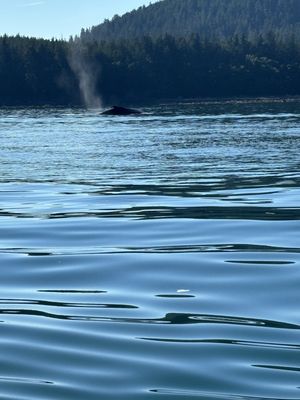 Above and Beyond Alaska by null