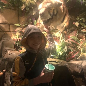 Rainforest Cafe - My son - American Near Me - San Antonio, Texas