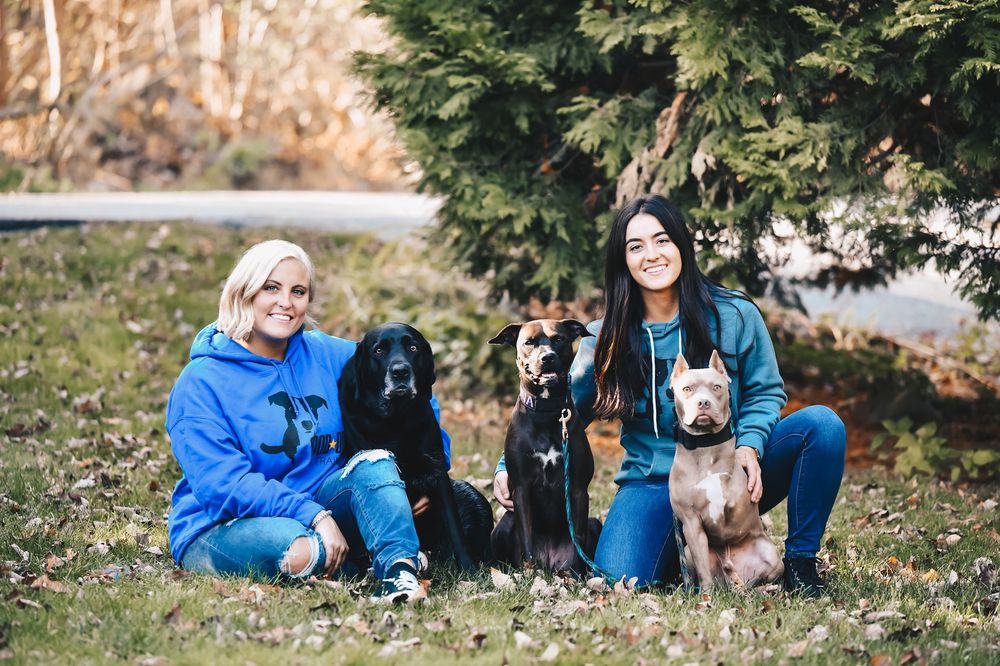 GOOD DOG PET TRAINING 53 Photos & 12 Reviews 31 Industrial Ave