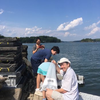 Eros Oyster - Farms Near Me - MacMahan, Maine Eros Oyster - Farms Near Me - MacMahan, Maine