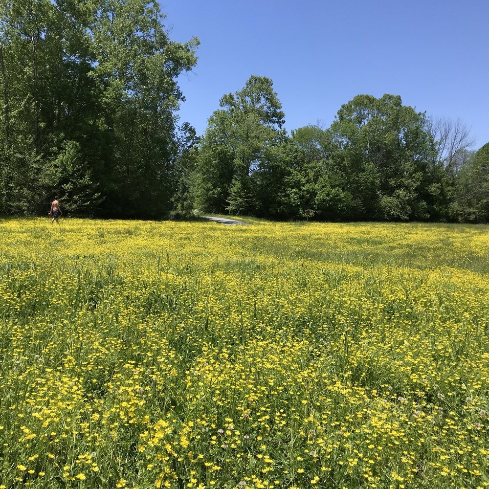 Chattahoochee Pointe Park - Beautiful to play year round. - Parks Near Me - Suwanee, Georgia