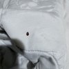 Chino Motel gift card