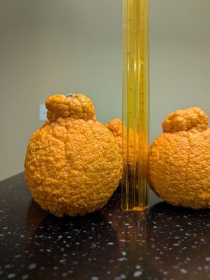 Whole Foods Market by null