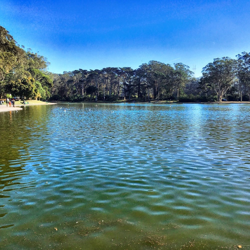 Spreckels Lake - Strolling. - Lakes Near Me - San Francisco, California Spreckels Lake - Strolling. - Lakes Near Me - San Francisco, California