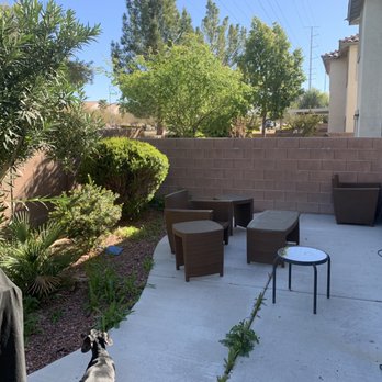 Jr's Lawn Maintenance - Before - Landscaping Near Me - Henderson, Nevada