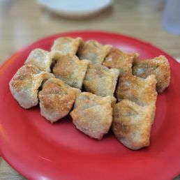 Pan Fried Dumplings