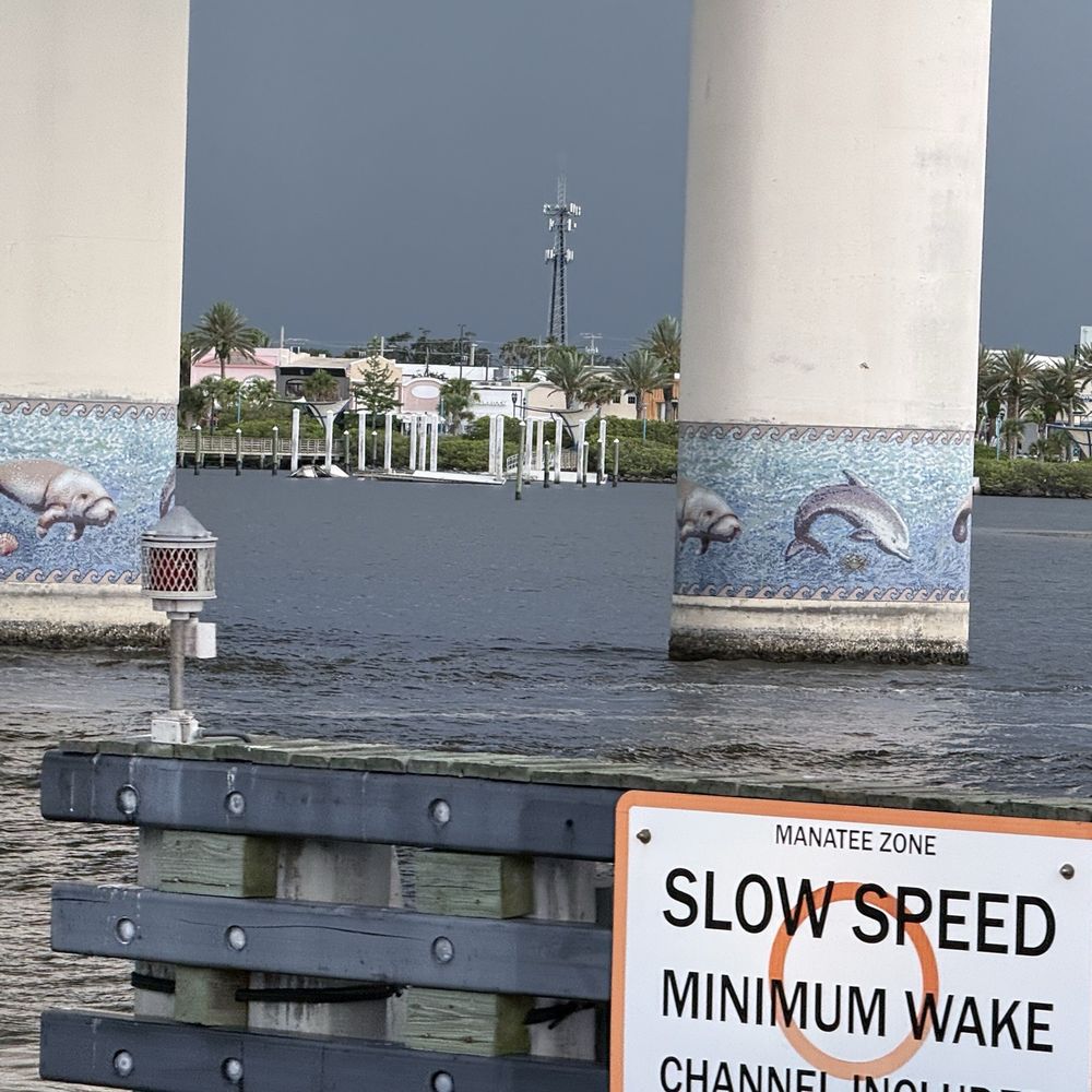 Dine and Cruise - Manatee and dolphins bridge posts - Boat Tours Near Me - Daytona Beach, Florida