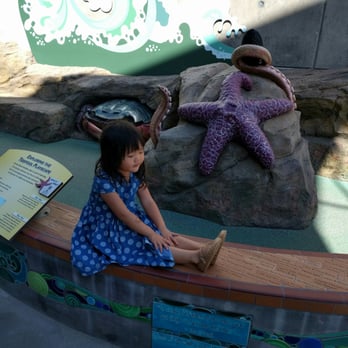 Ocean Institute - Relaxing after the hustle and bustle - Venues & Event Spaces Near Me - Dana Point, California Ocean Institute - Relaxing after the hustle and bustle - Venues & Event Spaces Near Me - Dana Point, California