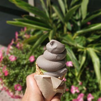 Momonoki - Half swirled, half black sesame! Decided last second I wanted mostly sesame. Couldn't wait to take a pic and ate some lol - Cafes Near Me - Atlanta, Georgia