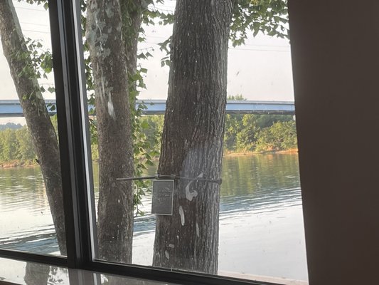 Riverview Restaurant & Marina by null