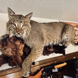 Frey's Gun Shop