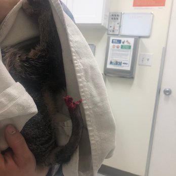 VCA McClave Animal Hospital - locked him in a cage for over an hour with no cone snd gave access to hurt himself - Veterinarians Near Me - Reseda, California VCA McClave Animal Hospital - locked him in a cage for over an hour with no cone snd gave access to hurt himself - Veterinarians Near Me - Reseda, California