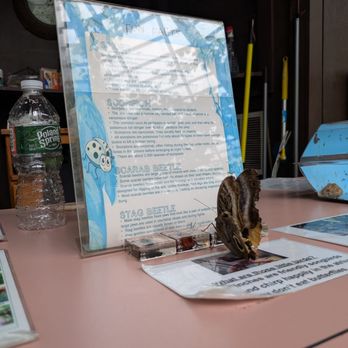 The Butterfly Place - Butterflies like fun facts too! - Botanical Gardens Near Me - Westford, Massachusetts