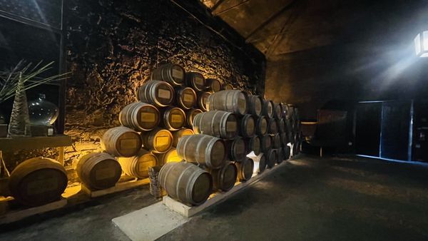Quinta da Pacheca by null