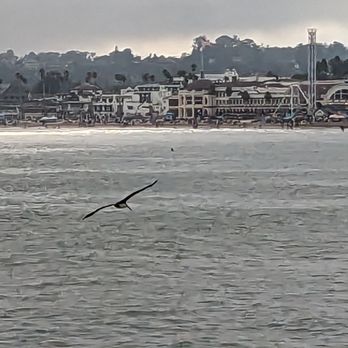 Seabright Beach - Nice view! - Beaches Near Me - Santa Cruz, California Seabright Beach - Nice view! - Beaches Near Me - Santa Cruz, California