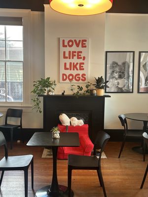 Fur Bébé Cafe by null