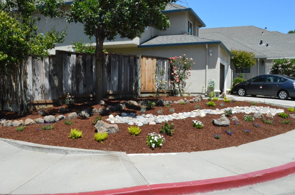 BAY AREA YARD CARE Updated September 2024 22 Photos & 11 Reviews