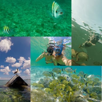 Sunscape Sabor - Snorkeling - Resorts Near Me - Cozumel, ROO