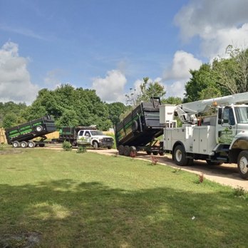 Rodriguez Tree Service - Tree Services Near Me Rodriguez Tree Service - Tree Services Near Me