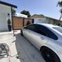 Royal Tint Mobile