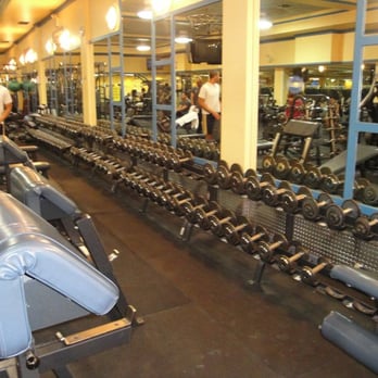 その他 Gold gym Gold's Gym Hesters Crossing | Austin, TX 78681 | Strength