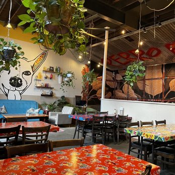 Perro Blanco - Dining area - Mexican Near Me - Norfolk, Virginia