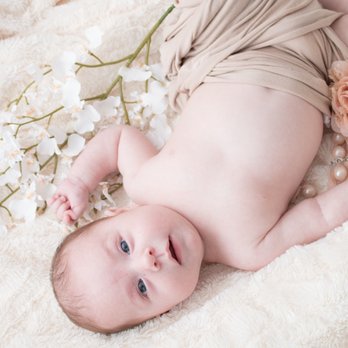 Erica Hazel Photography - Pet Photography Near Me