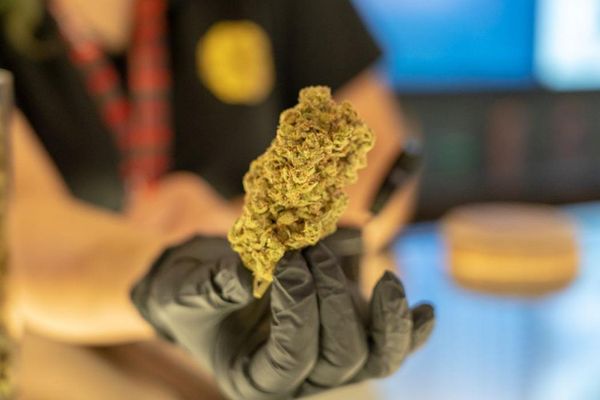 Lucy Sky Cannabis Boutique