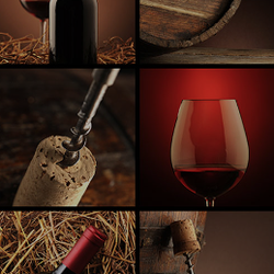 Seabridge Wine Tours