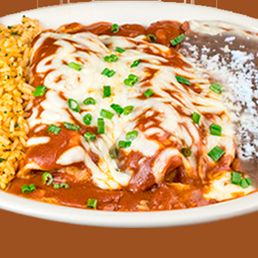Crunchy Chicken Enchilada