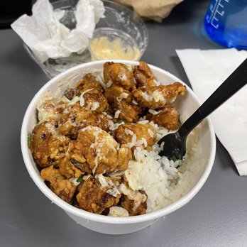 Fukuryu Ramen - Just plain fried chicken and white rice with very little sauce cost me $14. Was very bland and not worth the price at all. - Ramen Near Me - Upper Arlington, Ohio