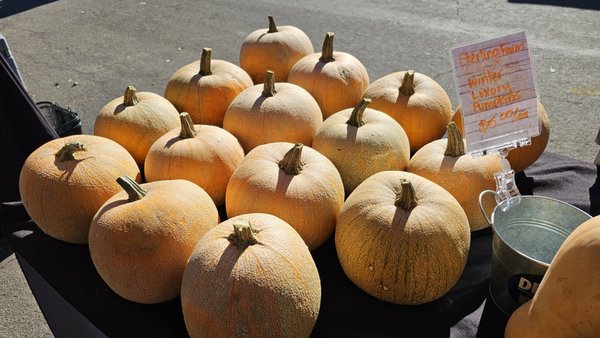 Riverside Farmers' Market by null