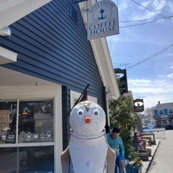 Dock Square Coffee House - Penguin stopped by - Coffee & Tea Near Me - Kennebunkport, Maine