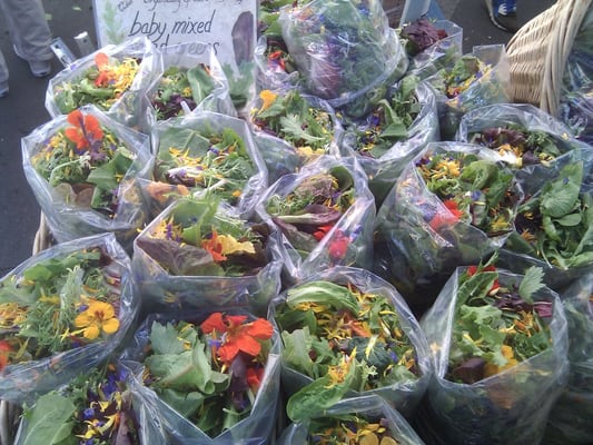 Temescal Farmer's Market by null