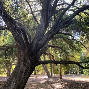 ORCUTT RANCH HORTICULTURAL CENTER PARK - Updated June 2026 - 417 Photos ...
