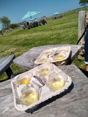 Sakonnet Vineyard by null