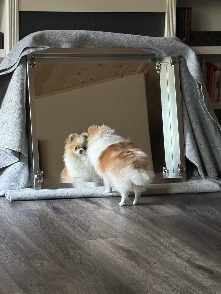 o Jupiter Florida Real Estate For Sale