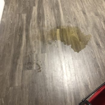 The Grid District - Hallway - A water spill is present on a wooden floor, with a water bottle nearby and part of a red object in the corner. - Apartments Near Me - Worcester, Massachusetts