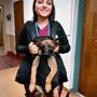 Photo of Raleigh Bartlett Animal Hospital