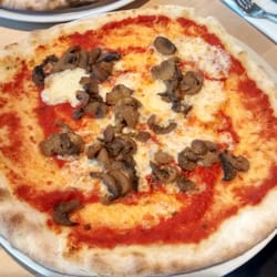 Anthony's - Funghi pizza