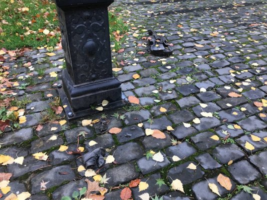 Washington Park by null