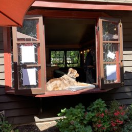 Just a dawg chilling at the window bathing in the sun Just a dawg chilling at the window bathing in the sun